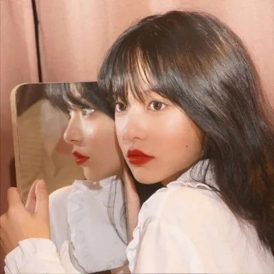 老虎的故事